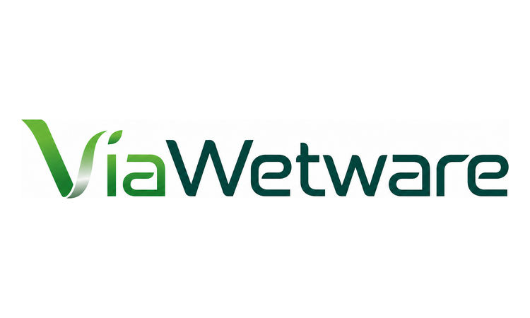 Available Business Name For Sale - Viawetware